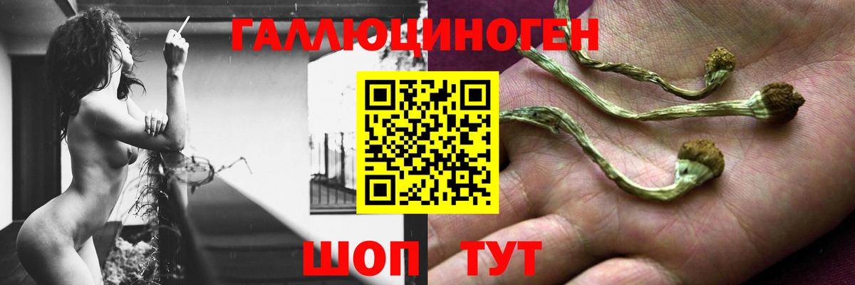 Алушта  Псилоцибиновые грибы Psilocybe  Вход с VPN 